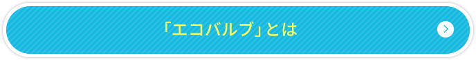 「エコバルブ」とは